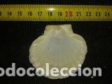 Coleccionismo de moluscos: concha marina de 5, 5x5cm - Foto 3
