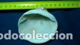 Coleccionismo de moluscos: concha marina 7, 8 x 8 cm - Foto 2