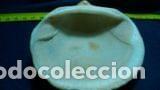 Coleccionismo de moluscos: concha marina 7, 8 x 8 cm - Foto 4