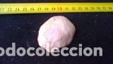 Coleccionismo de moluscos: CONCHA MARINA 5X4, 30 - Foto 1