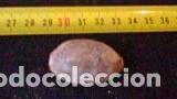 Coleccionismo de moluscos: concha marina 4, 5x3, 8 cm - Foto 2