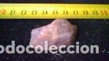Coleccionismo de moluscos: CONCHA MARINA 4, 2X2, 3X1, 6 - Foto 1