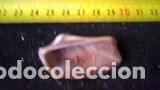 Coleccionismo de moluscos: CONCHA MARINA 4, 2X2, 3X1, 6 - Foto 2