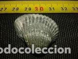Coleccionismo de moluscos: CONCHA MARINA 3, 5X3X1, 5 - Foto 1