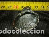 Coleccionismo de moluscos: CONCHA MARINA 3, 5X3X1, 5 - Foto 4