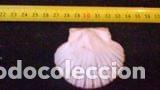 Coleccionismo de moluscos: concha marina 6, 5x5, 7 cm - Foto 2