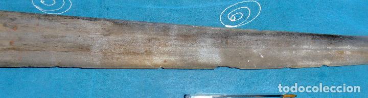 Coleccionismo de moluscos: PICO DE PEZ ESPADA, SABLE DE PEZ ESPADA - Foto 3