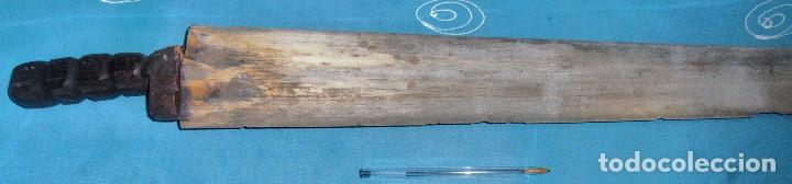 Coleccionismo de moluscos: PICO DE PEZ ESPADA, SABLE DE PEZ ESPADA - Foto 6