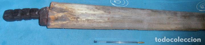 Coleccionismo de moluscos: PICO DE PEZ ESPADA, SABLE DE PEZ ESPADA - Foto 7