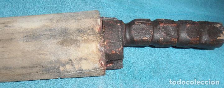 Coleccionismo de moluscos: PICO DE PEZ ESPADA, SABLE DE PEZ ESPADA - Foto 10