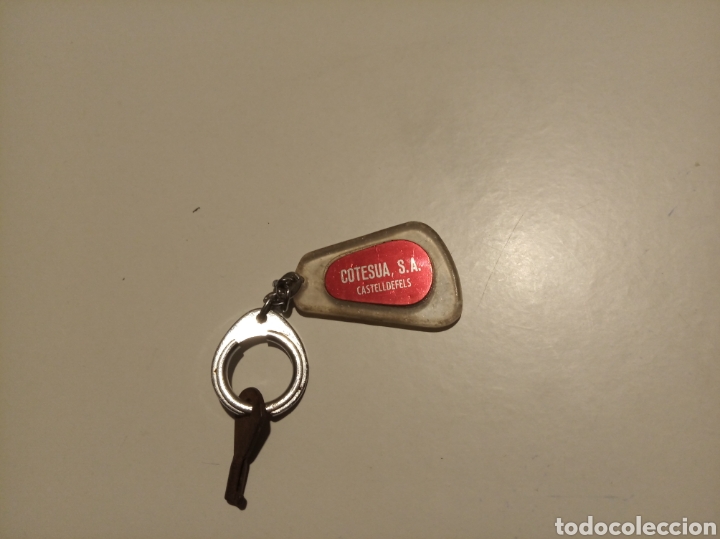 Coleccionismo de moluscos: Firestone - Foto 3