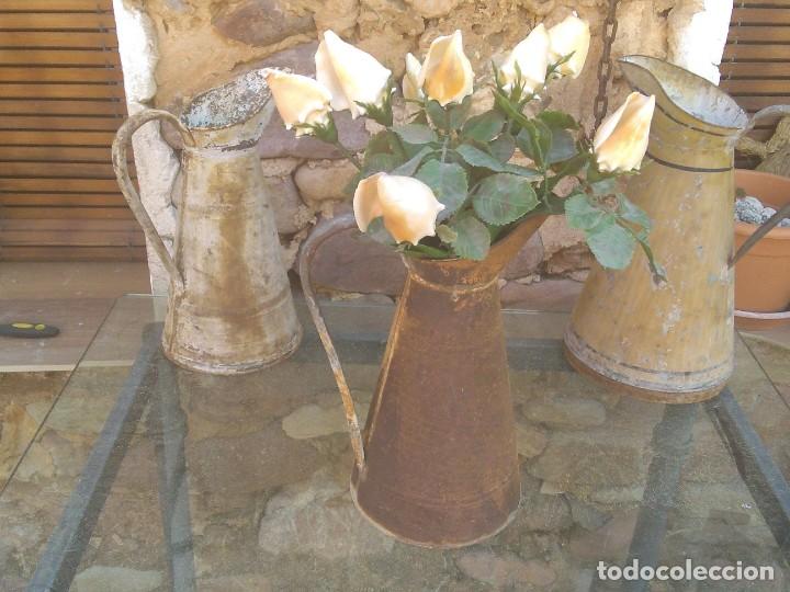 Coleccionismo de moluscos: Ramo de rosas de caracolas marinas - Foto 1