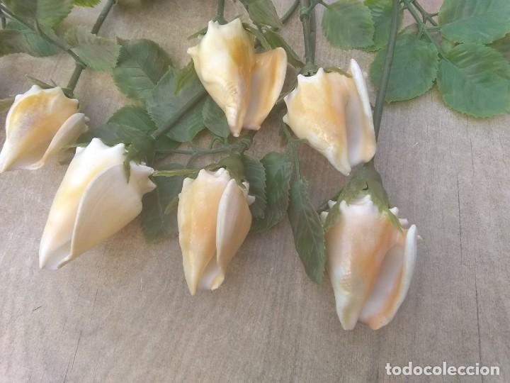 Coleccionismo de moluscos: Ramo de rosas de caracolas marinas - Foto 2