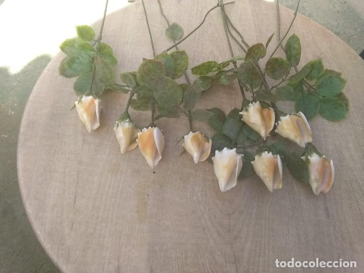 Coleccionismo de moluscos: Ramo de rosas de caracolas marinas - Foto 3