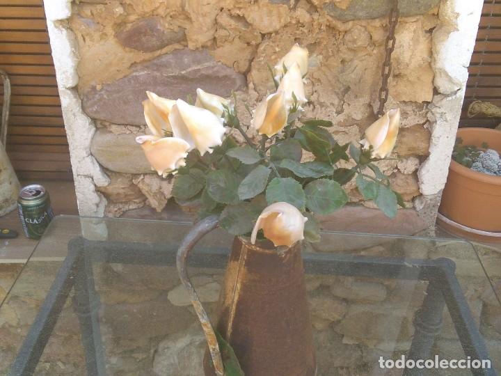 Coleccionismo de moluscos: Ramo de rosas de caracolas marinas - Foto 7