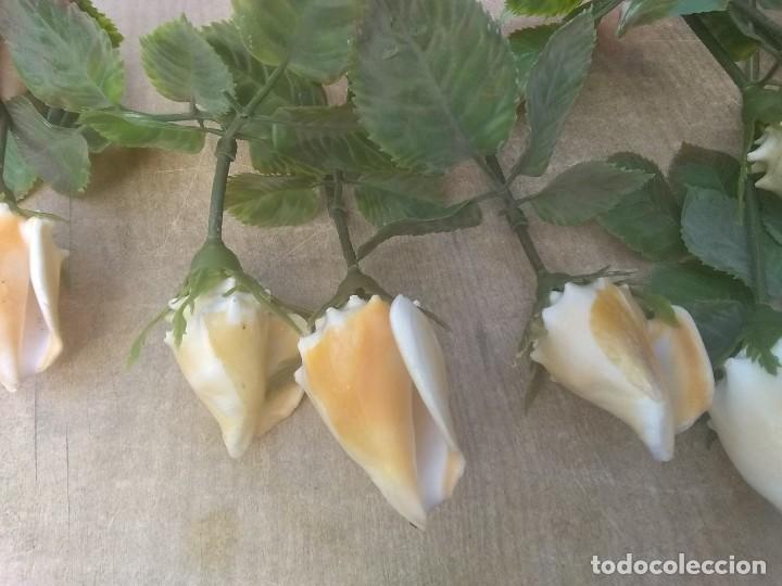 Coleccionismo de moluscos: Ramo de rosas de caracolas marinas - Foto 8