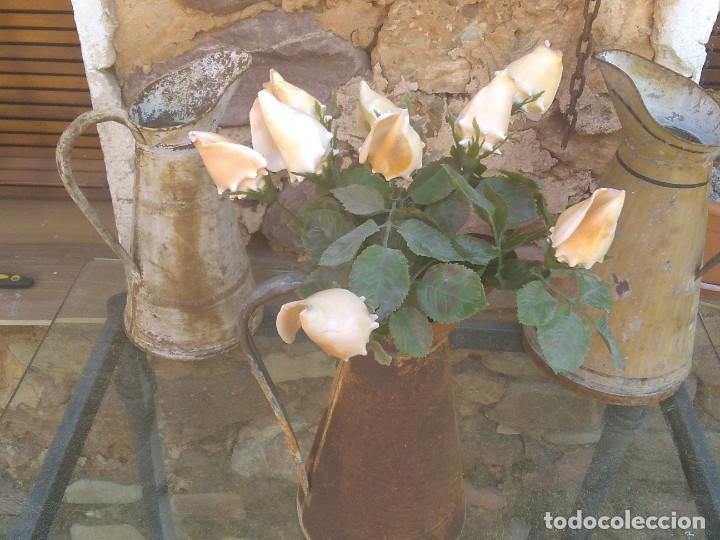Coleccionismo de moluscos: Ramo de rosas de caracolas marinas - Foto 9