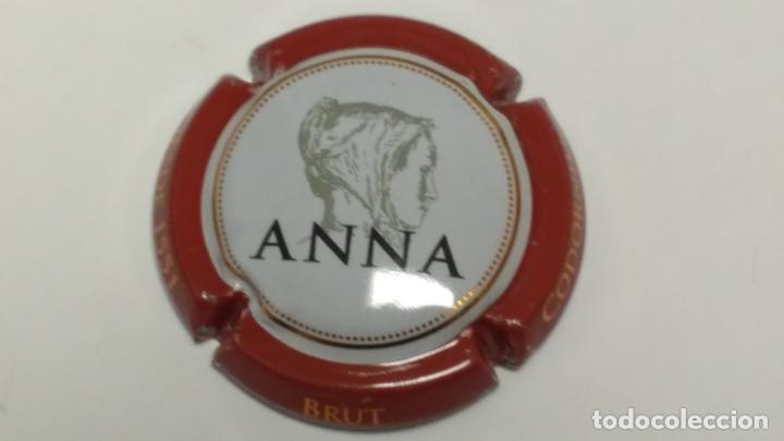 Coleccionismo de moluscos: CHAPA DE CAVA. ANNA CODORNIU - Foto 1