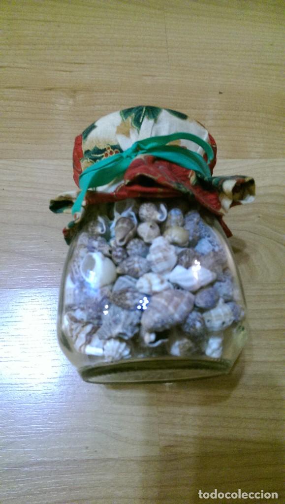 Coleccionismo de moluscos: BOTE DE CRISTAL CON CONCHAS - Foto 2