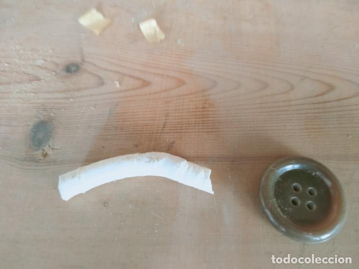 Coleccionismo de moluscos: MOLUSCO - Foto 1