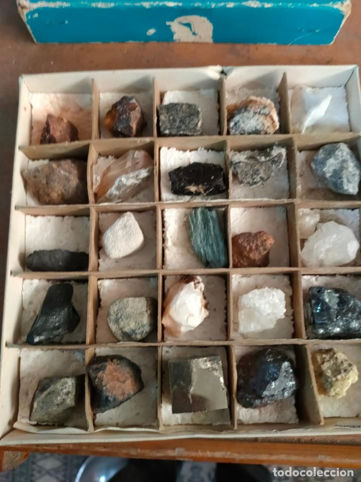 1960ca - antigua coleccion de 25 minerales en c - Compra venta en  todocoleccion
