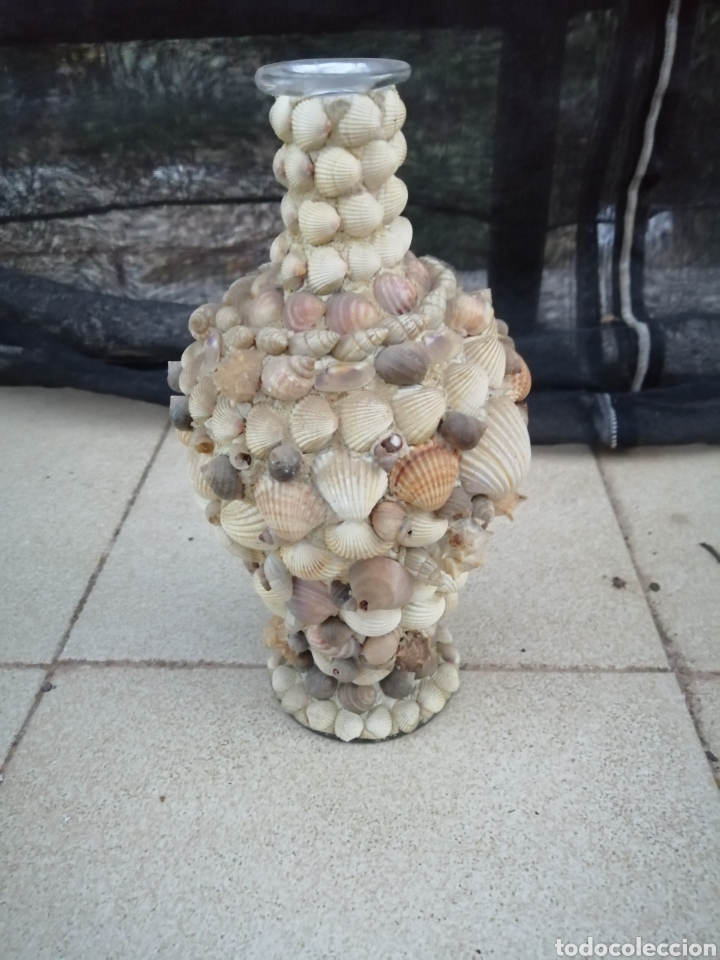 Coleccionismo de moluscos: Jarron de conchas - Foto 2