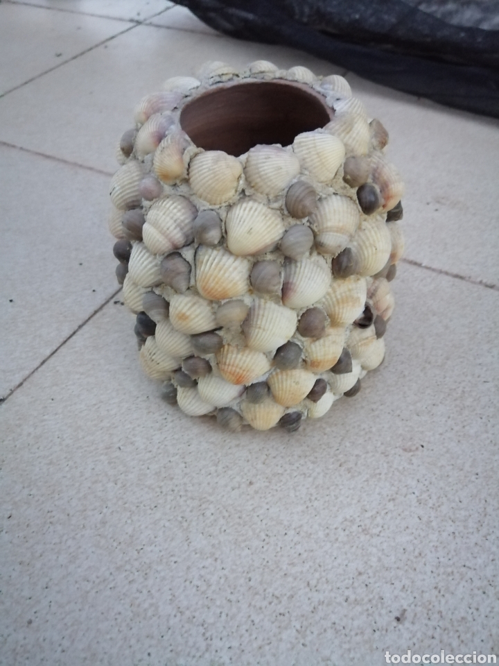 Coleccionismo de moluscos: Jarron de conchas - Foto 2