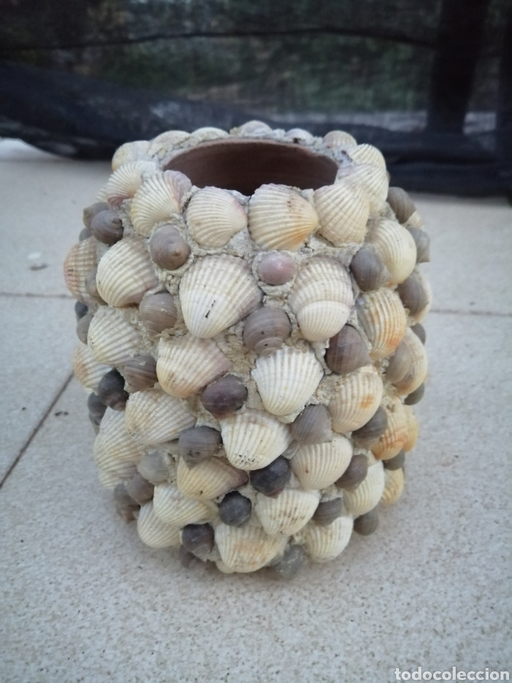 Coleccionismo de moluscos: Jarron de conchas - Foto 3