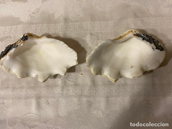 Coleccionismo de moluscos: C.49-Tridacna completa 21 cm&hellip;&hellip; - Foto 2