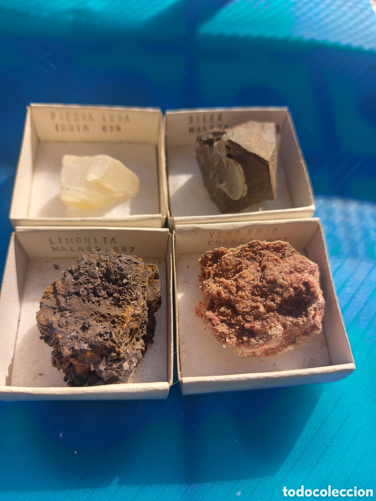 Coleccionismo de moluscos: 1piedra luna y 3mas - Foto 1