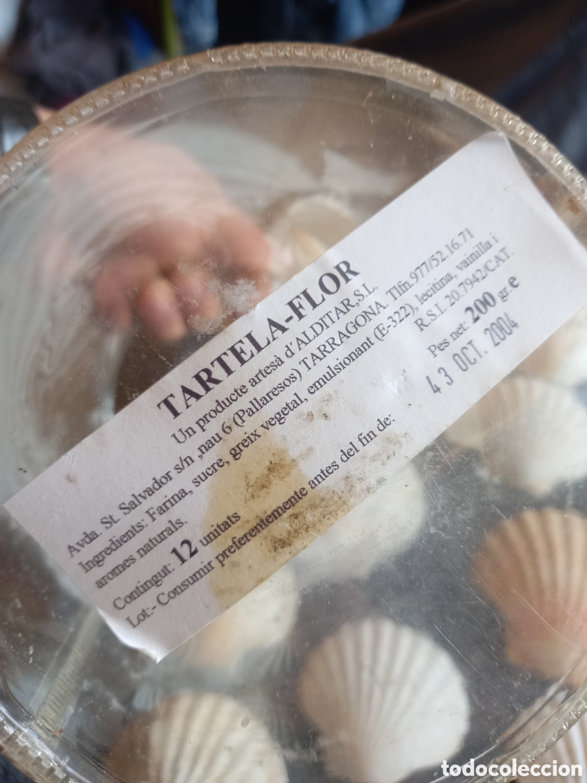 Coleccionismo de moluscos: LOTE DE CONCHAS - Foto 20