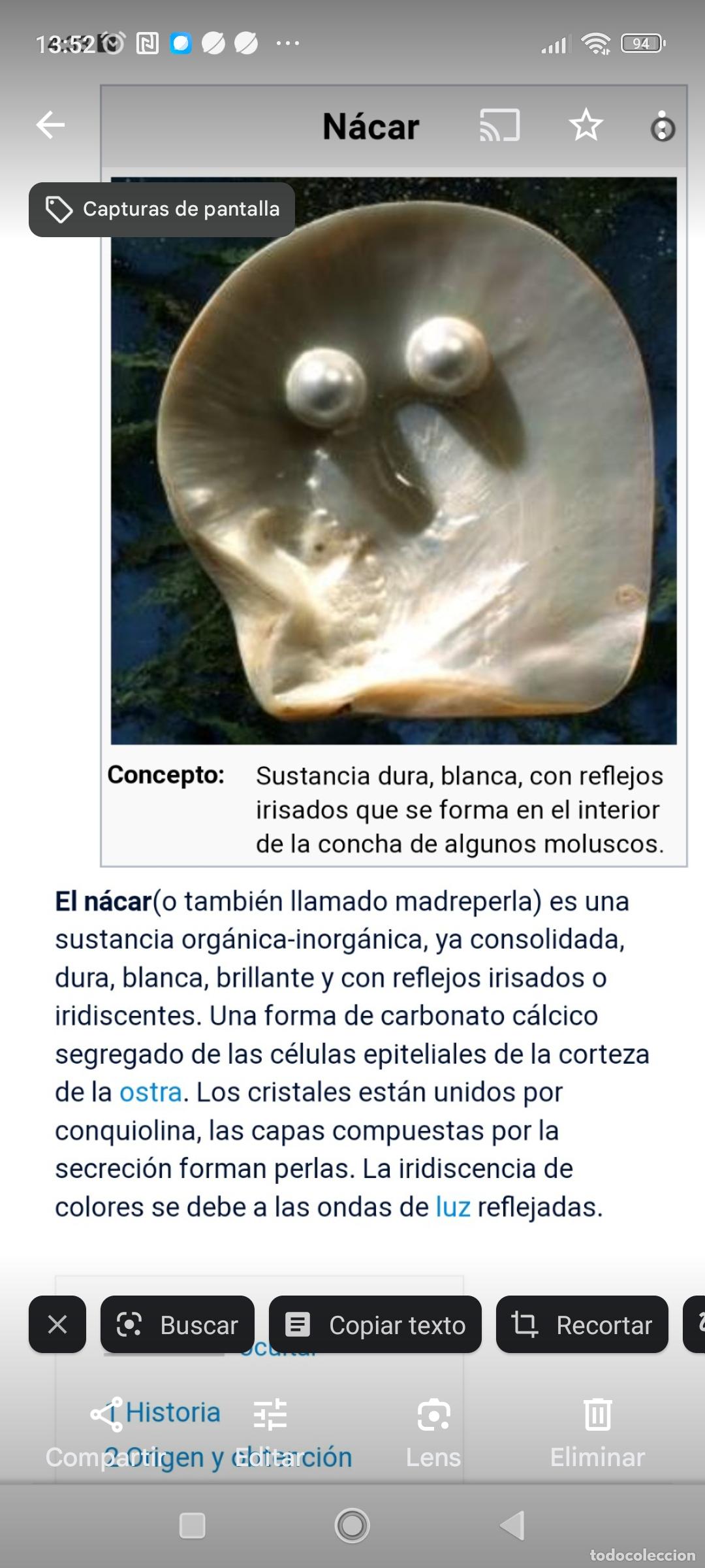 Coleccionismo de moluscos: Concha de nacar - Foto 5
