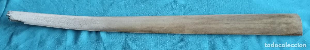 Coleccionismo de moluscos: PICO DE PEZ ESPADA, DEFECTUOSO, 54 CM - Foto 1