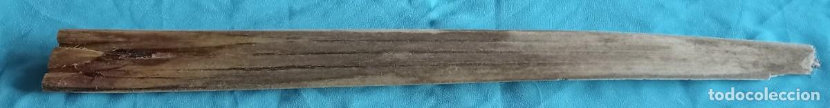 Coleccionismo de moluscos: PICO DE PEZ ESPADA, DEFECTUOSO, 54 CM - Foto 2