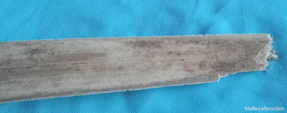 Coleccionismo de moluscos: PICO DE PEZ ESPADA, DEFECTUOSO, 54 CM - Foto 3