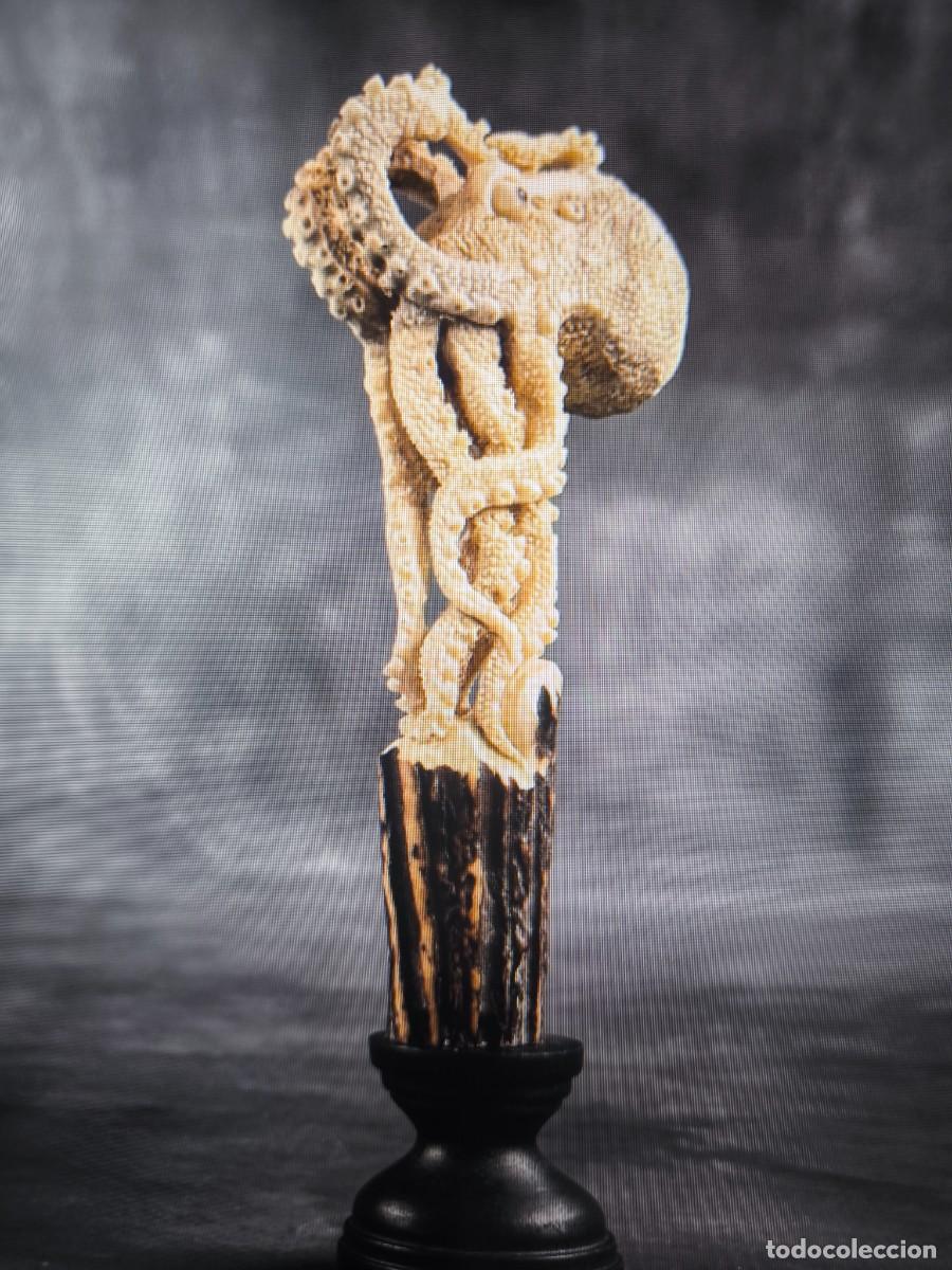 Coleccionismo de moluscos: Figura de cuerno de ciervo - Foto 1