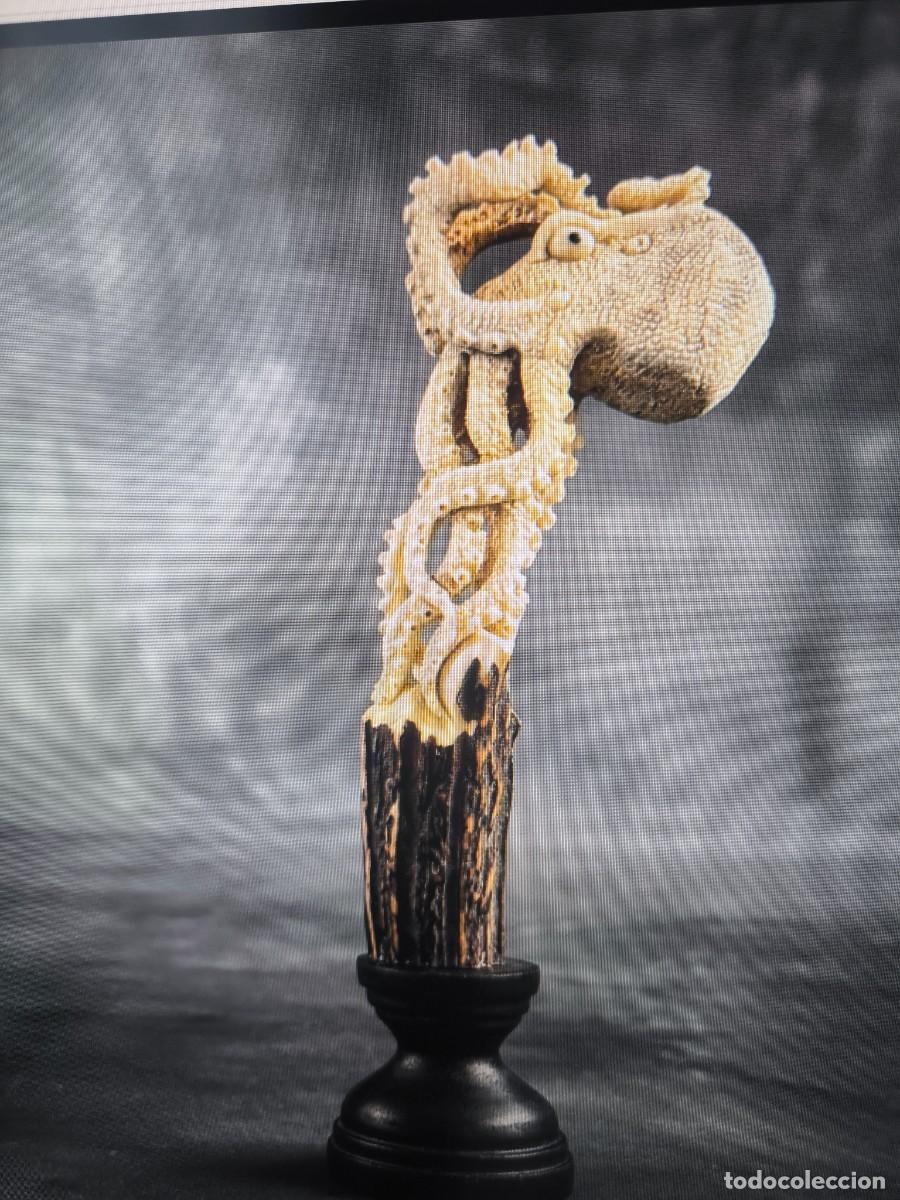 Coleccionismo de moluscos: Figura de cuerno de ciervo - Foto 2