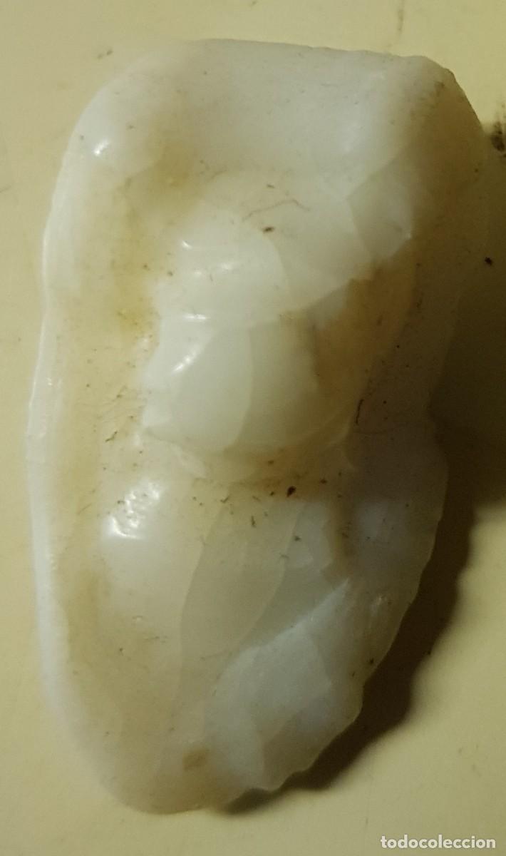 Coleccionismo de moluscos: Hueso de corvina 2,80 cm. - Foto 1