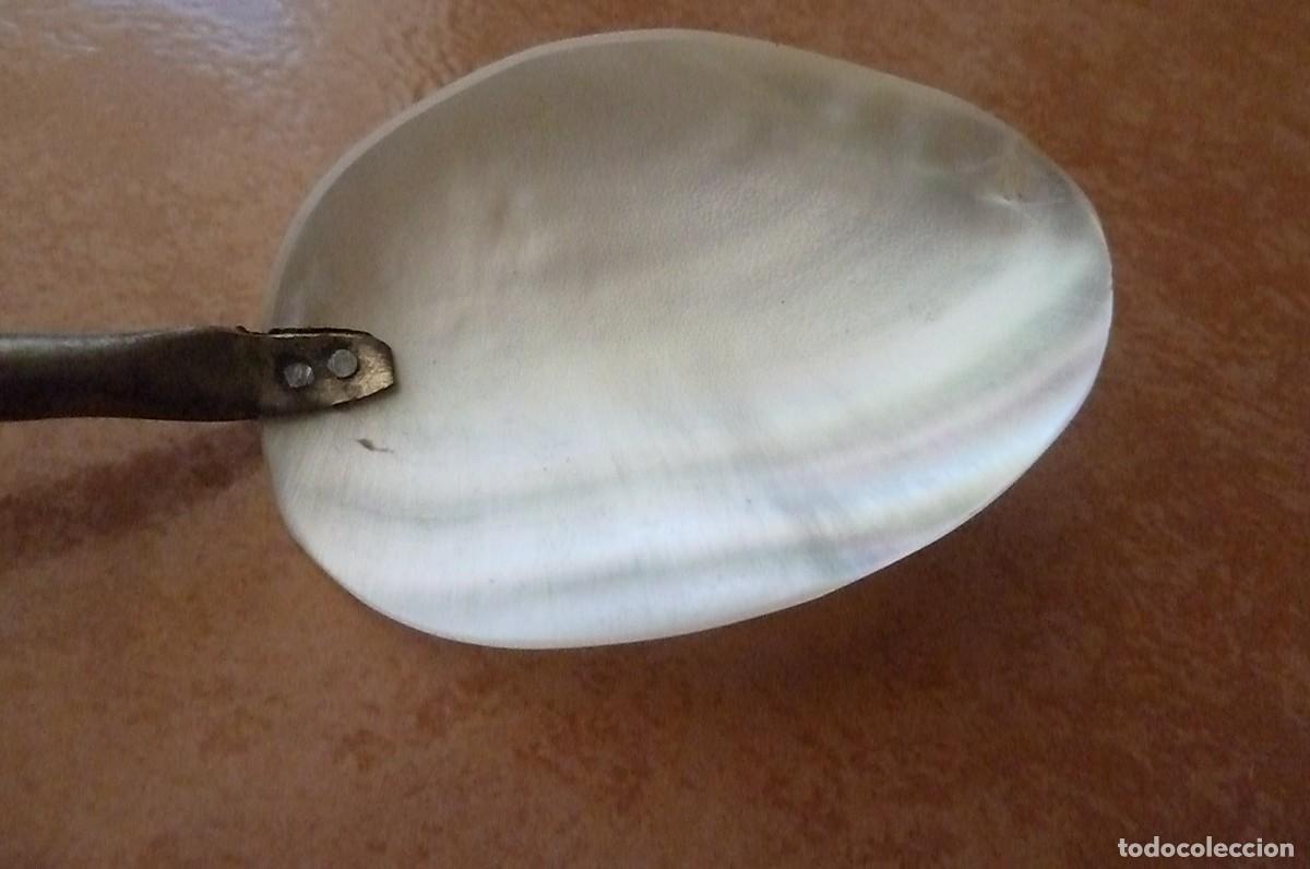Coleccionismo de moluscos: Cuchara n&aacute;car usada para caviar - Foto 5