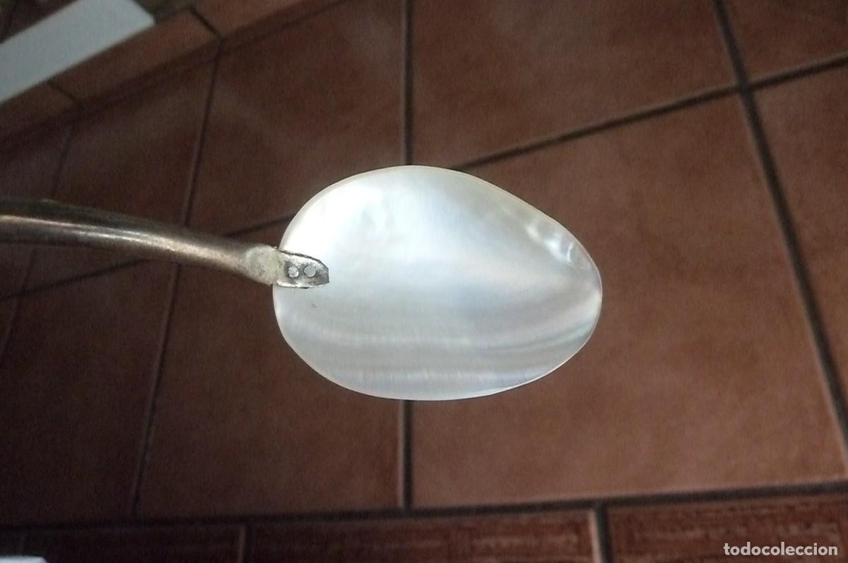 Coleccionismo de moluscos: Cuchara n&aacute;car usada para caviar - Foto 6