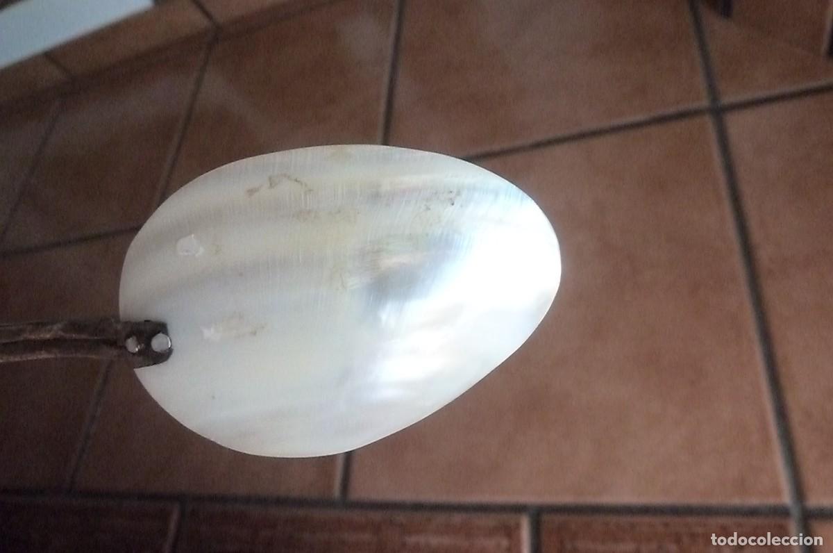 Coleccionismo de moluscos: Cuchara n&aacute;car usada para caviar - Foto 8
