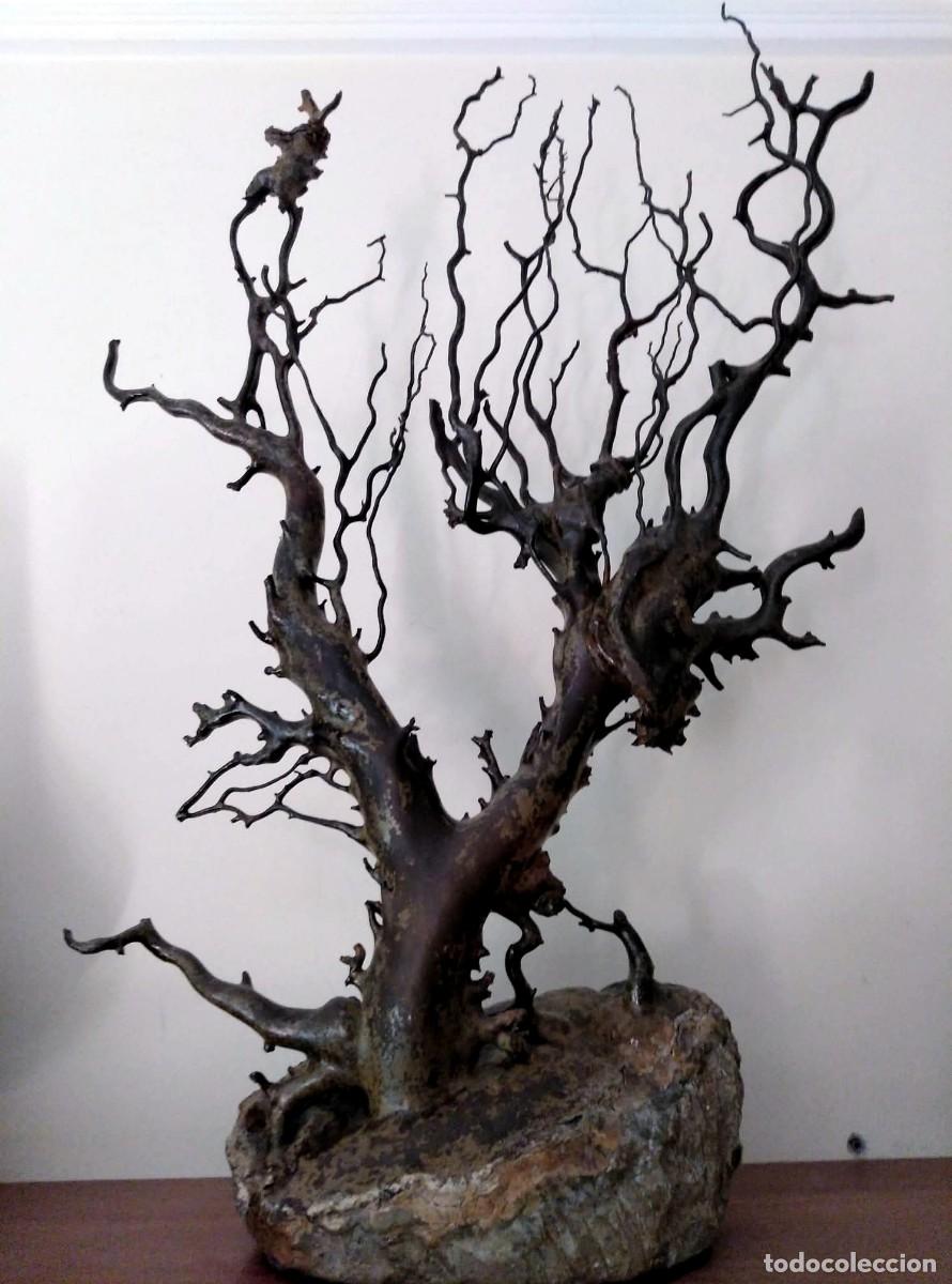 Coleccionismo de moluscos: Extraordinario &aacute;rbol de Coral negro. Leer descripci&oacute;n, ver fotos