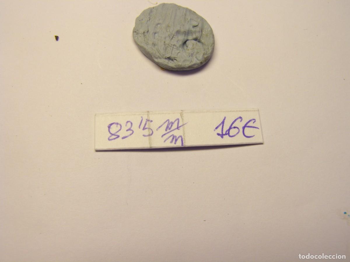 Coleccionismo de moluscos: Caracol snail shell eudolium pyriforme. Taiwan. - Foto 7