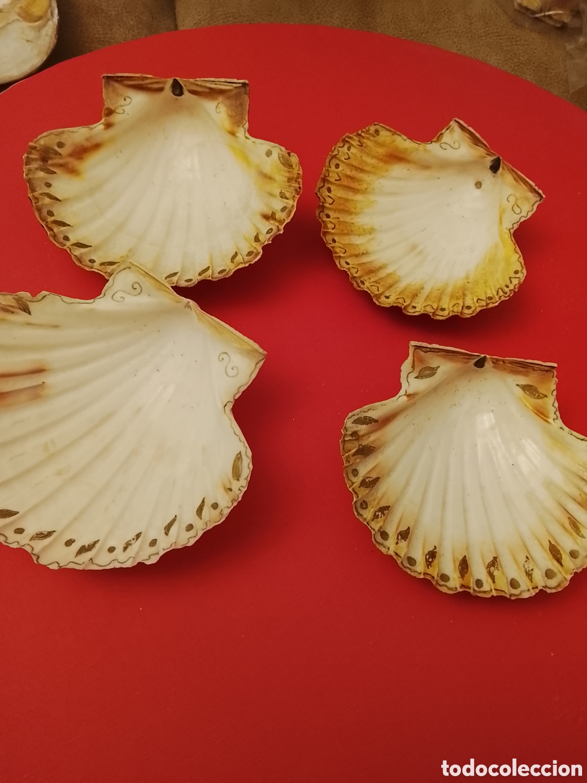Coleccionismo de moluscos: Lote de conchas de vieira .Tal cual