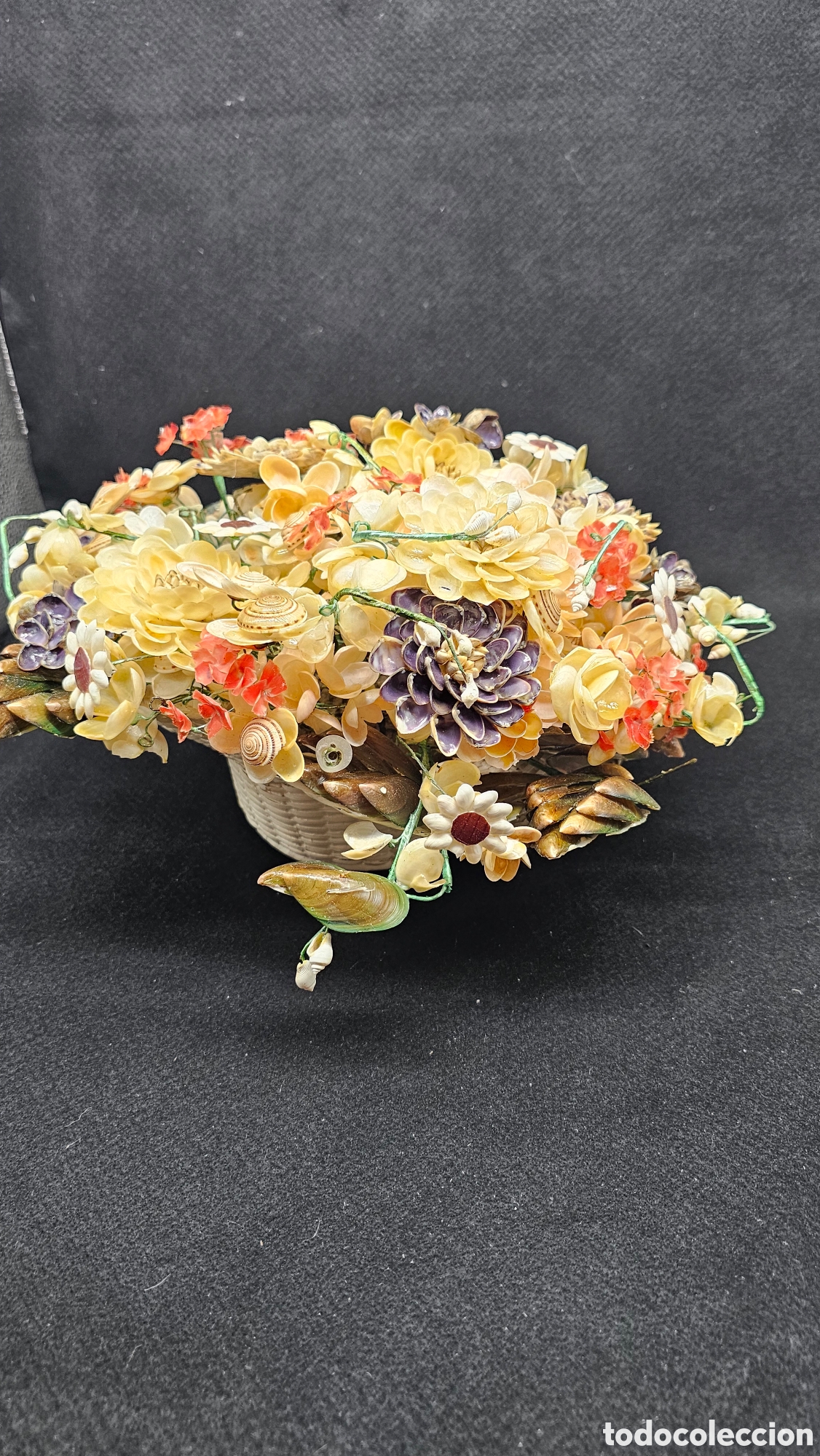 Coleccionismo de moluscos: Antiguo ramo de flores hechas con conchas marinas