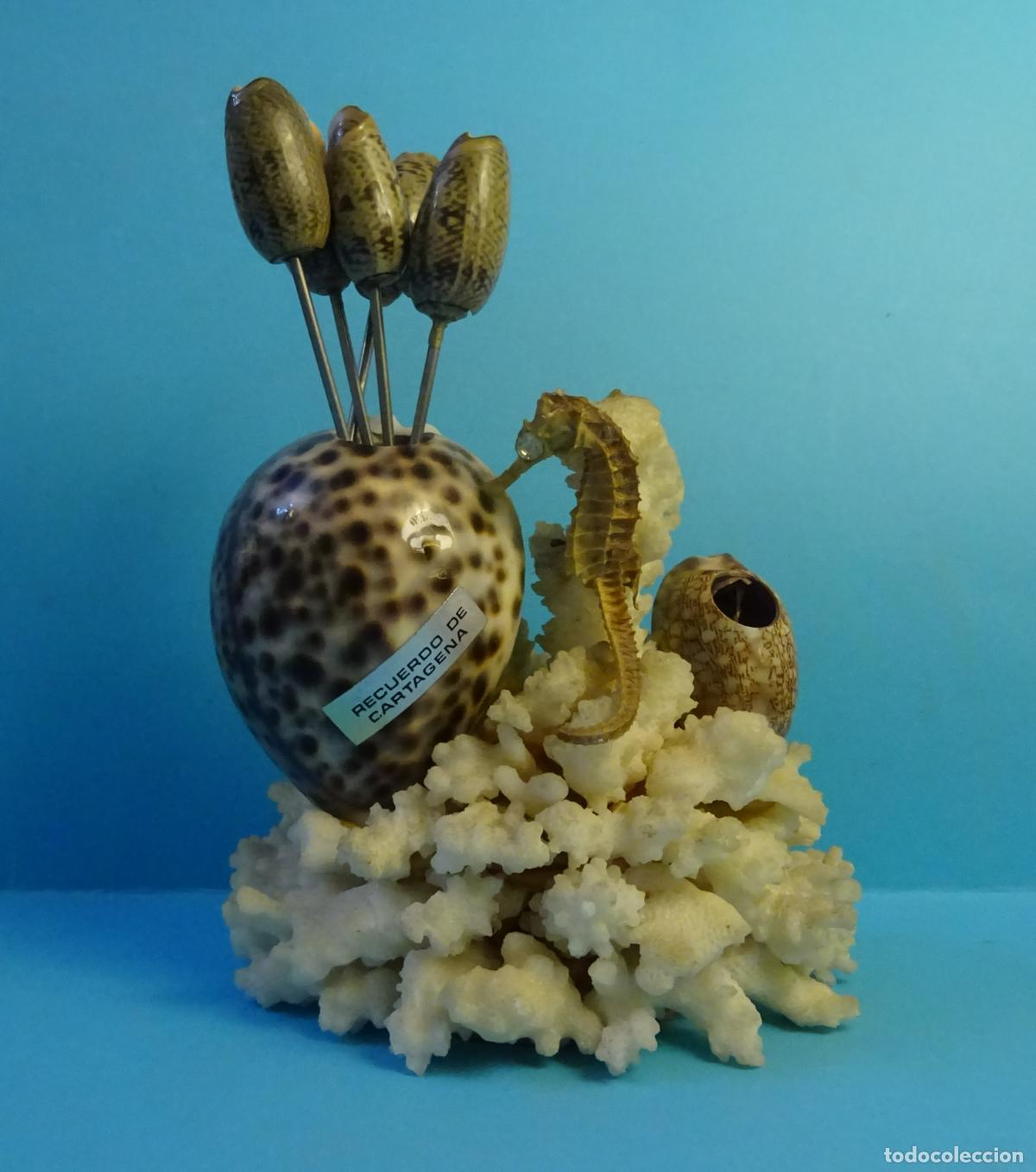 Coleccionismo de moluscos: COMPOSICI&Oacute;N CON CONCHAS, CORAL BLANCO, 5 PALILLOS Y CABALLITO DE MAR. ALTURA 10 CM SIN PALILLOS