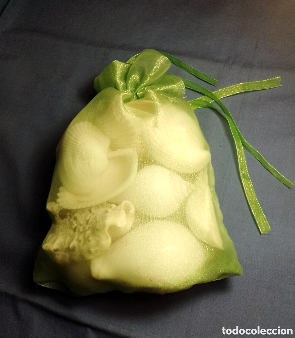 Coleccionismo de moluscos: Bolsa de caracolas marinas - Foto 2