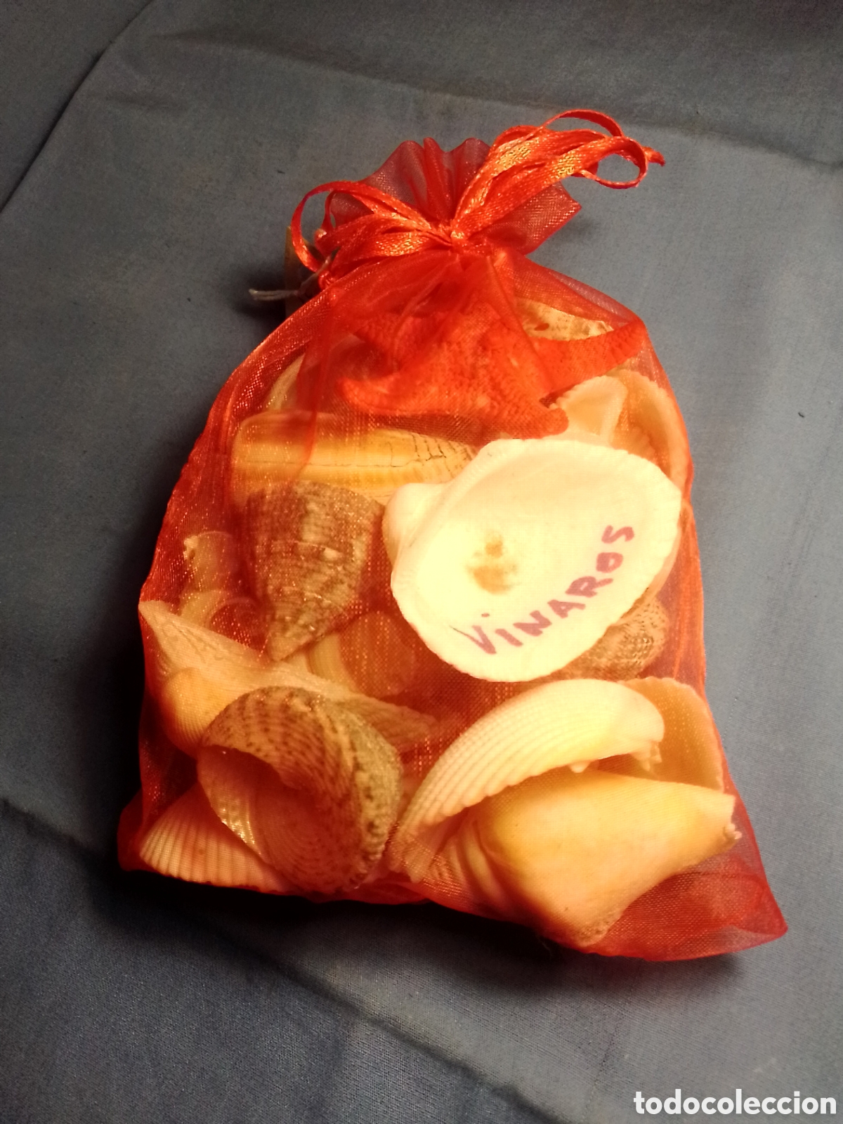 Coleccionismo de moluscos: Bolsa de conchas marinas