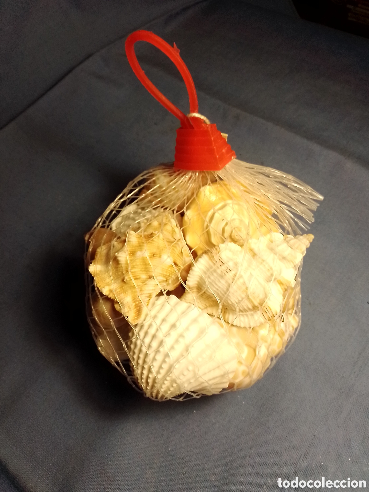 Coleccionismo de moluscos: Bolsa de caracolas marinas - Foto 2
