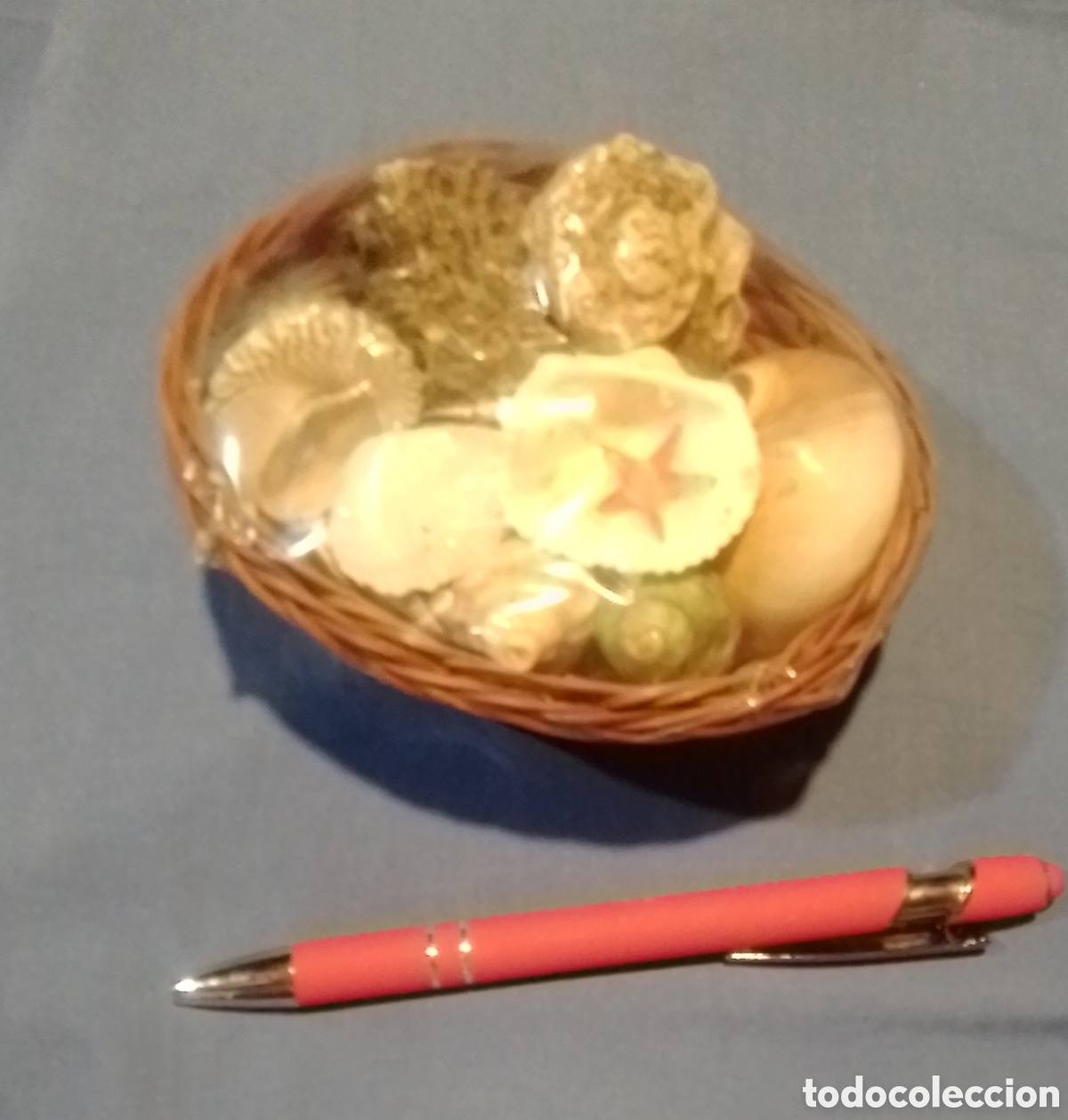 Coleccionismo de moluscos: Cesta de caracolas marinas